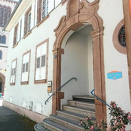Ferienwohnung Un Petit Nid Atypique Au Coeur De Munster Munster  Exterior foto